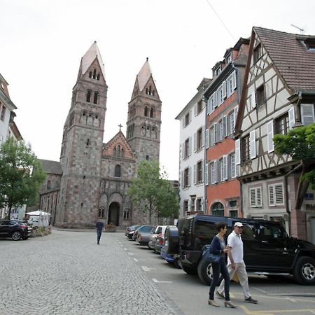 Gite Le Colombier Selestat - 30Min Europapark Kültér fotó